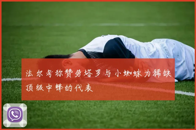 法尔考称赞劳塔罗与小蜘蛛为稀缺顶级中锋的代表